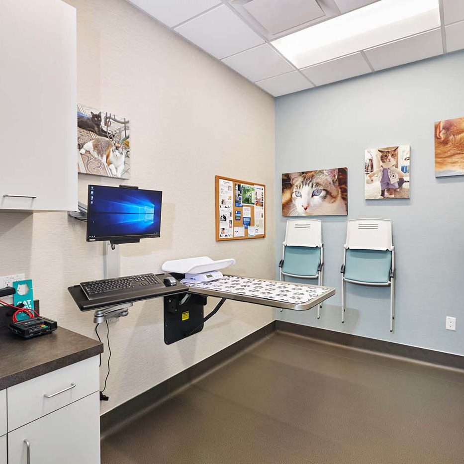 Surgery room at National Veterinary Associates