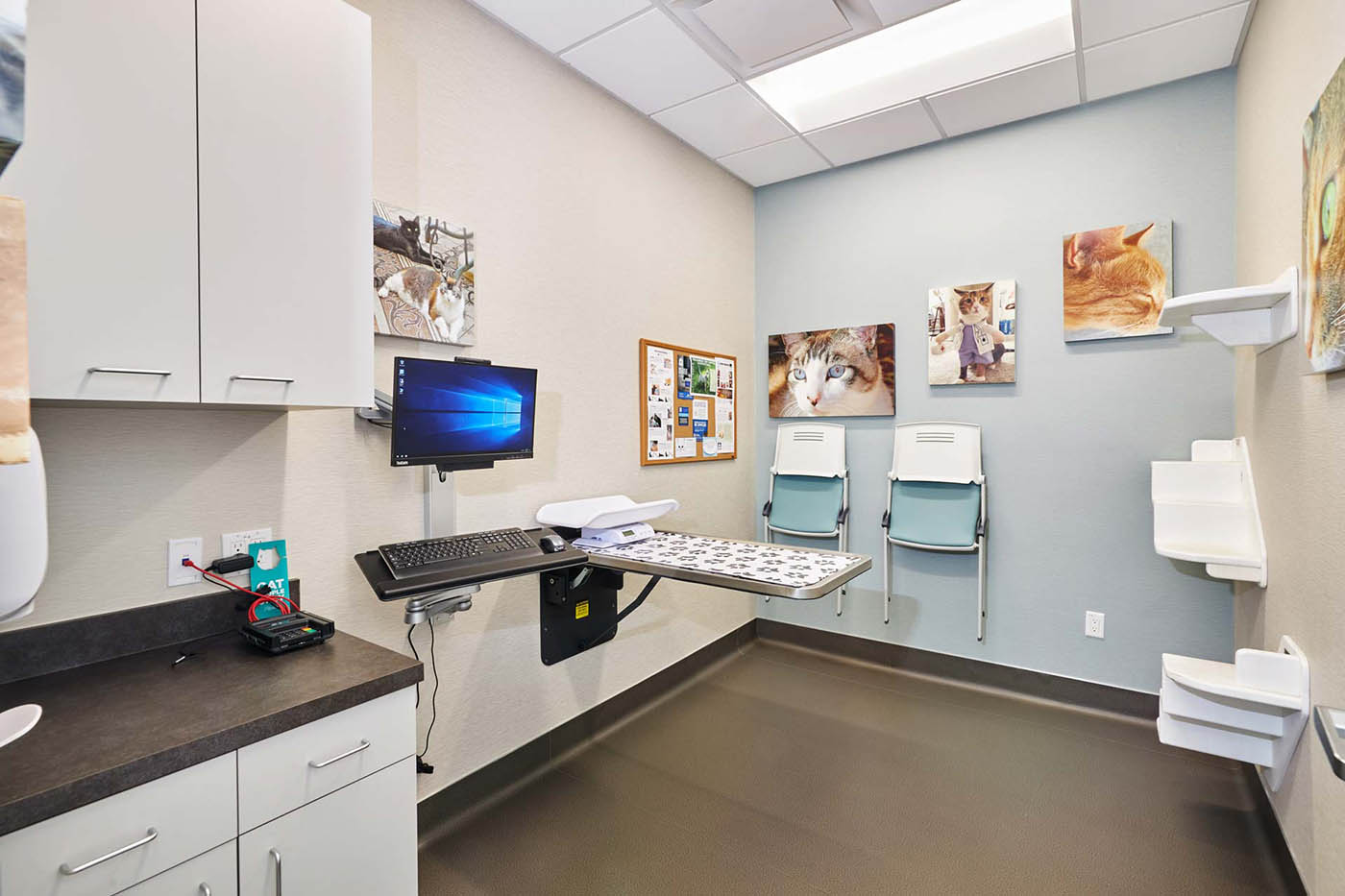 Surgery room at National Veterinary Associates
