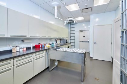 Surgery room at National Veterinary Associates