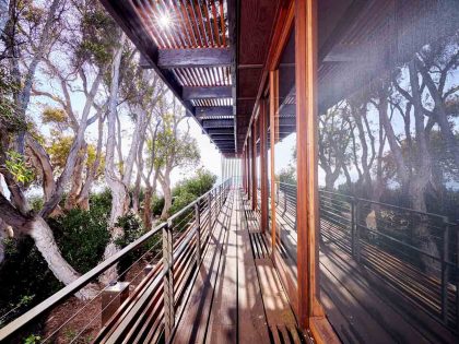 A forest view at balcony of the building